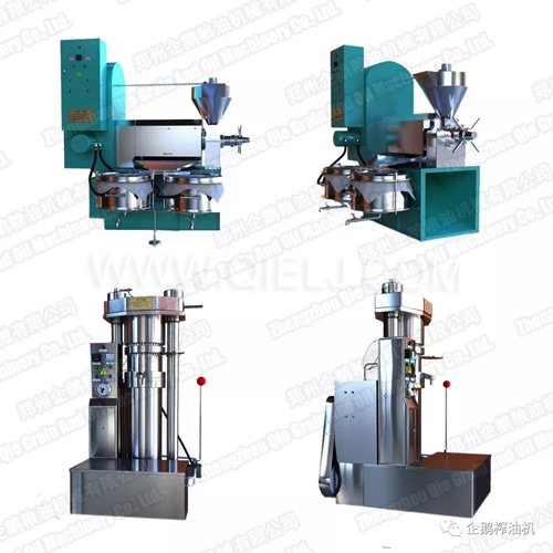 油坊榨油設(shè)備哪有賣的 怎么開(kāi)油坊 需要什么手續(xù)(圖1) 油坊榨油設(shè)備哪有賣的 怎么開(kāi)油坊 需要什么手續(xù)(圖1)