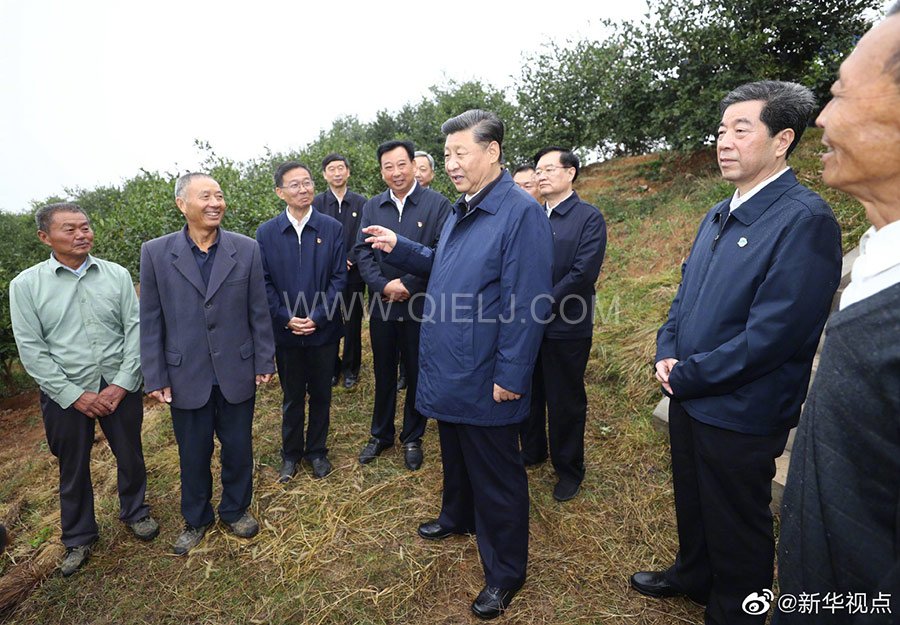 光山油茶籽榨油設(shè)備，山茶籽油榨油機(jī)廠家(圖3)