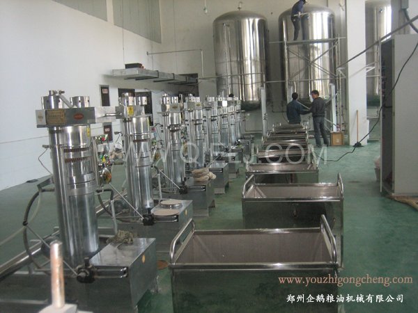 核桃油提取設(shè)備 企鵝牌核桃油設(shè)備 質(zhì)優(yōu)價好！(圖2)