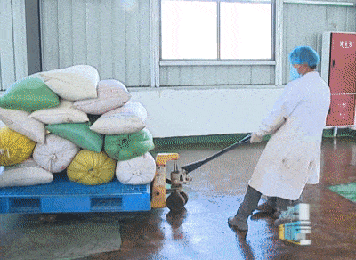 西藏企鵝糧油機(jī)械設(shè)備案例之墨竹工卡縣小油菜榨油廠項(xiàng)目(圖3) 西藏企鵝糧油機(jī)械設(shè)備案例之墨竹工卡縣小油菜榨油廠項(xiàng)目(圖3)