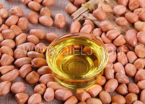 投資建花生油加工廠，選擇企鵝糧油機械設備事半功倍(圖1)