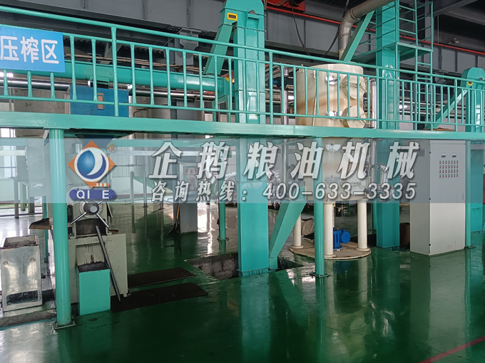 企鵝牌茶籽油雙螺桿榨油機(jī)，用心制造獲得客戶(hù)認(rèn)可(圖2)