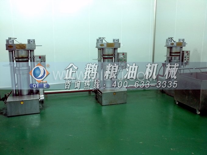 芝麻油壓榨處理設(shè)備，企鵝牌液壓榨油機勇于創(chuàng)新生產(chǎn)效率高(圖4)