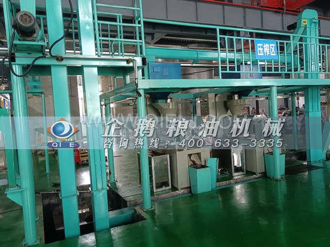 企鵝牌核桃油榨油設(shè)備，生產(chǎn)綠色健康油受大眾喜愛(圖4)