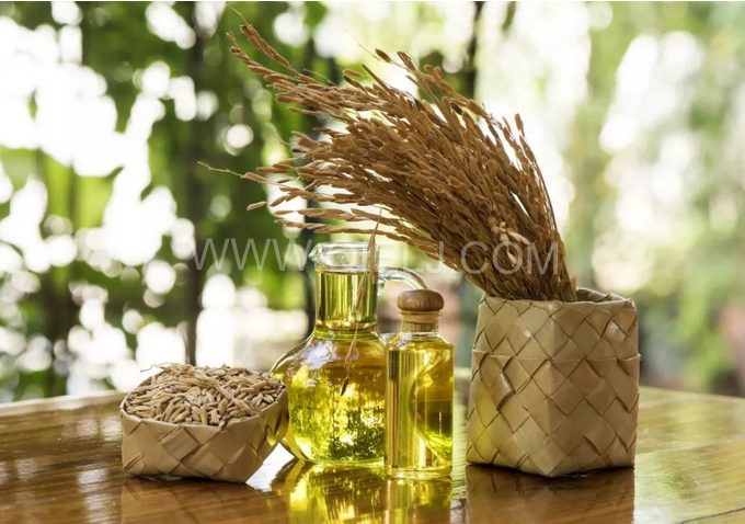 米糠油精煉設(shè)備，企鵝機(jī)械不斷創(chuàng)新提升工藝效果(圖1)