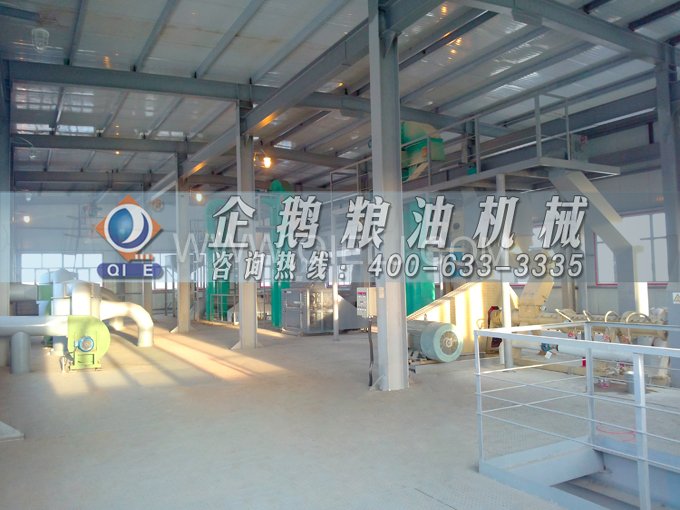 如何提取到高質(zhì)量的大豆油？一條企鵝浸出生產(chǎn)線就足夠了(圖2)